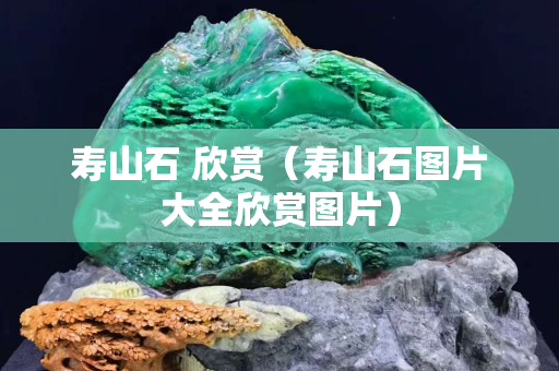 寿山石 欣赏（寿山石图片大全欣赏图片）