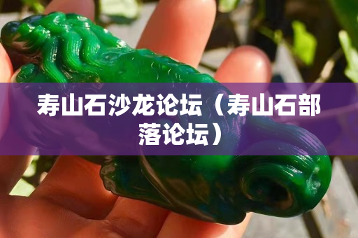 寿山石沙龙论坛（寿山石部落论坛）
