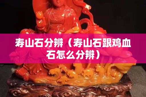 寿山石分辨（寿山石跟鸡血石怎么分辨）