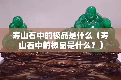 寿山石中的极品是什么（寿山石中的极品是什么？）