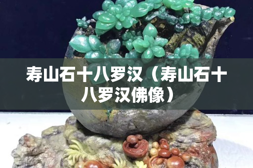 寿山石十八罗汉（寿山石十八罗汉佛像）