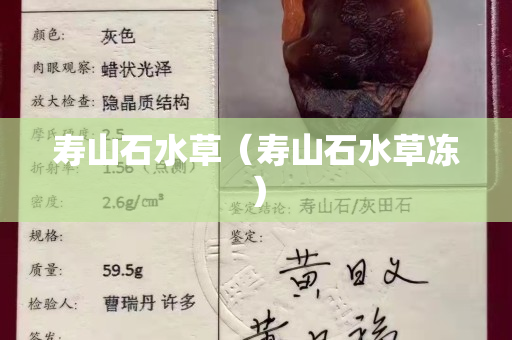 寿山石水草（寿山石水草冻）