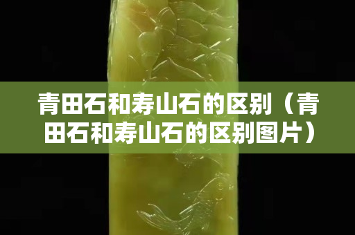 青田石和寿山石的区别（青田石和寿山石的区别图片）