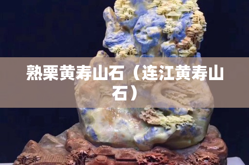 熟栗黄寿山石（连江黄寿山石）
