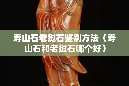 寿山石老挝石鉴别方法（寿山石和老挝石哪个好）