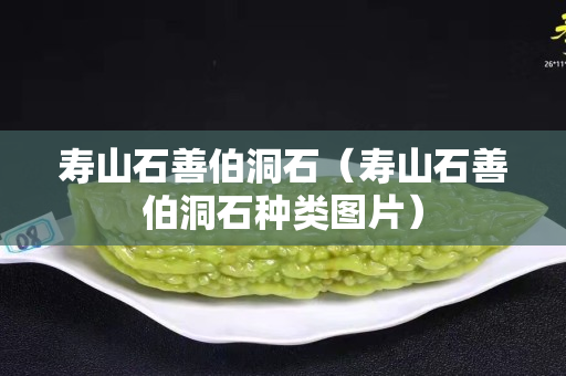 寿山石善伯洞石（寿山石善伯洞石种类图片）