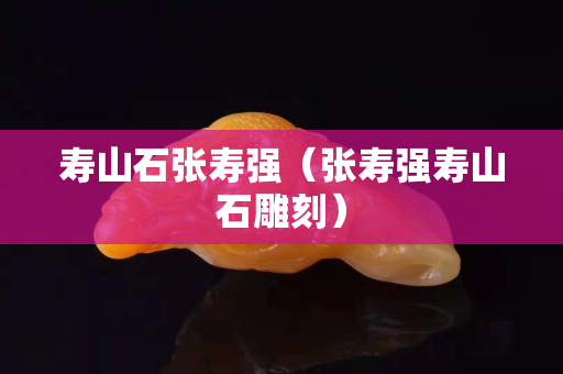 寿山石张寿强（张寿强寿山石雕刻）