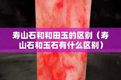 寿山石和和田玉的区别（寿山石和玉石有什么区别）