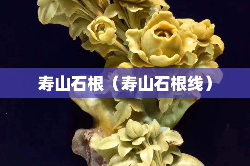 寿山石根（寿山石根线）