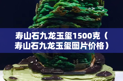 寿山石九龙玉玺1500克（寿山石九龙玉玺图片价格）