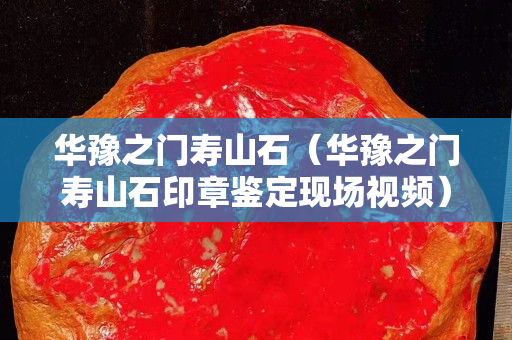 华豫之门寿山石（华豫之门寿山石印章鉴定现场视频）