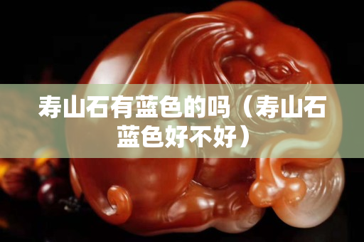 寿山石有蓝色的吗（寿山石蓝色好不好）