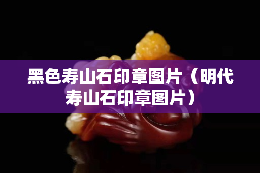 黑色寿山石印章图片（明代寿山石印章图片）