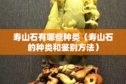 寿山石有哪些种类（寿山石的种类和鉴别方法）