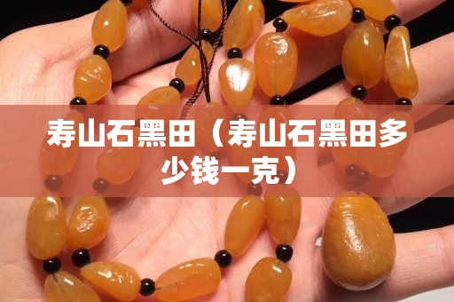 寿山石黑田（寿山石黑田多少钱一克）