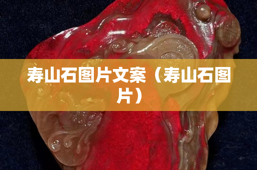 寿山石图片文案（寿山石图片）