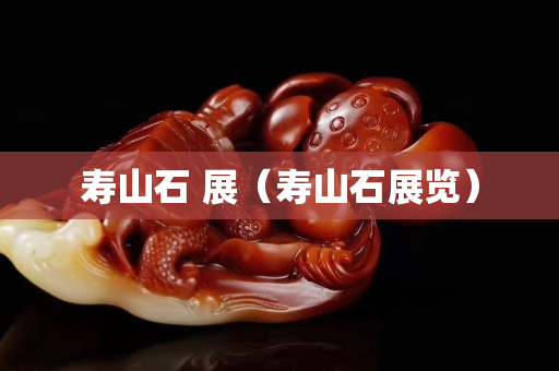 寿山石 展（寿山石展览）