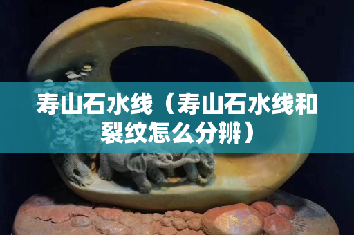 寿山石水线（寿山石水线和裂纹怎么分辨）