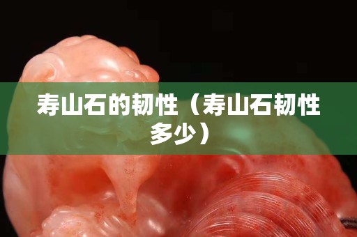 寿山石的韧性（寿山石韧性多少）