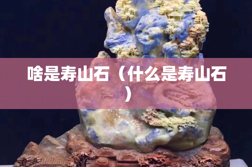 啥是寿山石（什么是寿山石）