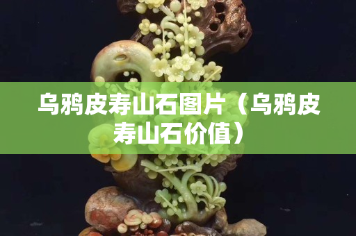 乌鸦皮寿山石图片（乌鸦皮寿山石价值）