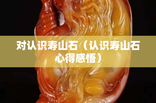 对认识寿山石（认识寿山石心得感悟）
