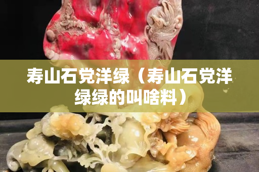 寿山石党洋绿（寿山石党洋绿绿的叫啥料）