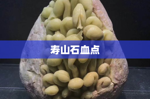 寿山石血点