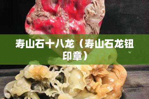 寿山石十八龙（寿山石龙钮印章）