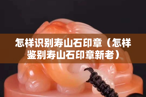 怎样识别寿山石印章（怎样鉴别寿山石印章新老）