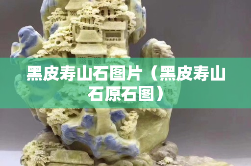 黑皮寿山石图片（黑皮寿山石原石图）