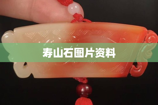 寿山石图片资料
