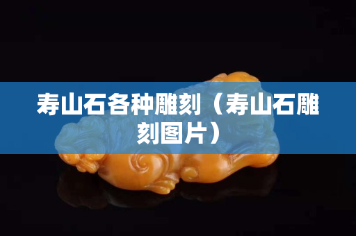 寿山石各种雕刻（寿山石雕刻图片）