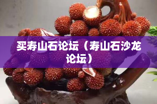 买寿山石论坛（寿山石沙龙论坛）