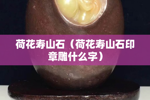 荷花寿山石（荷花寿山石印章雕什么字）