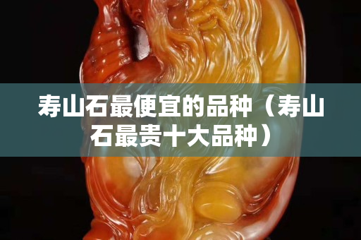 寿山石最便宜的品种（寿山石最贵十大品种）
