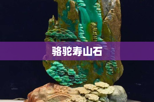 骆驼寿山石