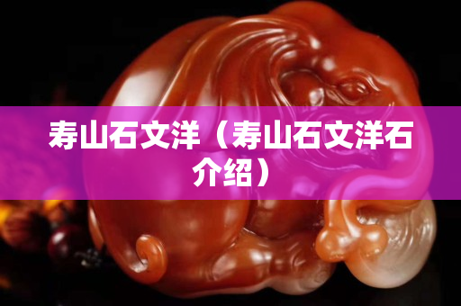 寿山石文洋（寿山石文洋石介绍）
