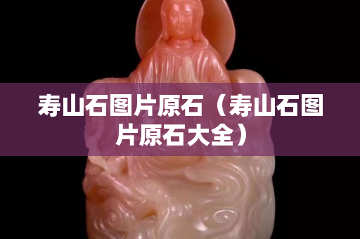 寿山石图片原石（寿山石图片原石大全）