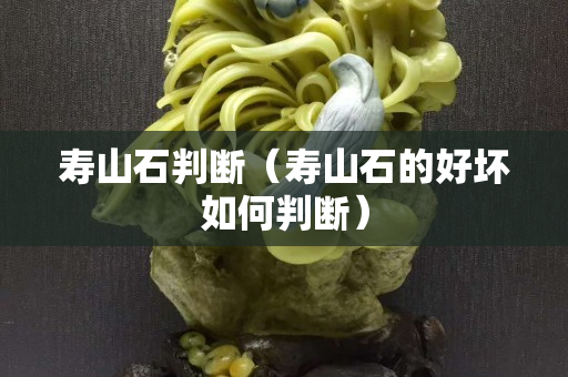 寿山石判断（寿山石的好坏如何判断）