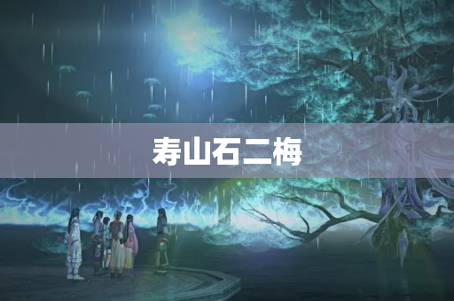 寿山石二梅