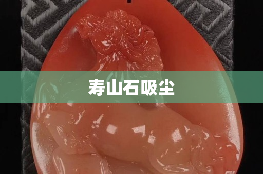 寿山石吸尘