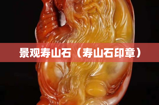 景观寿山石（寿山石印章）