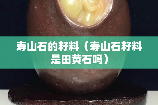 寿山石的籽料（寿山石籽料是田黄石吗）