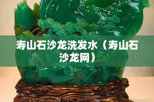 寿山石沙龙洗发水（寿山石沙龙网）