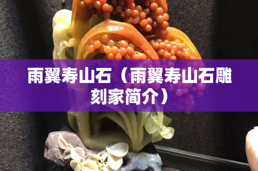 雨翼寿山石（雨翼寿山石雕刻家简介）