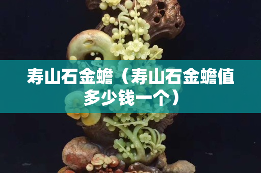 寿山石金蟾（寿山石金蟾值多少钱一个）