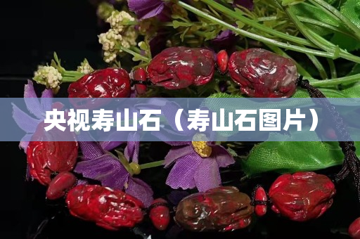 央视寿山石（寿山石图片）