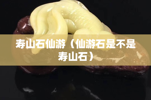 寿山石仙游（仙游石是不是寿山石）