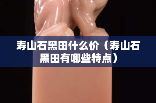 寿山石黑田什么价（寿山石黑田有哪些特点）